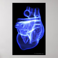 Luminiscent syn på människans hjärta
