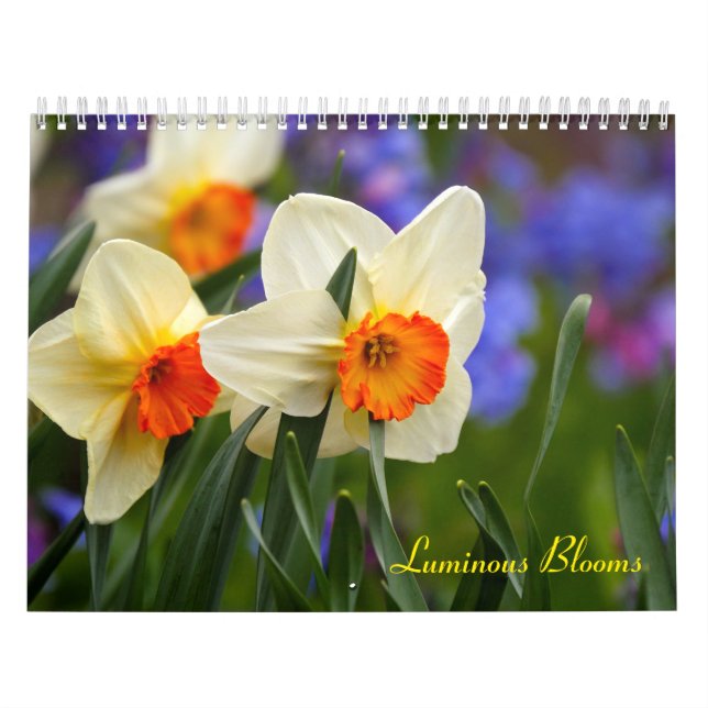 Luminösa blommor kalender (Omslag)