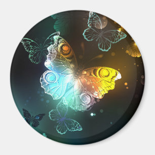 Luminösa fjäril och nattfjärilar magnet