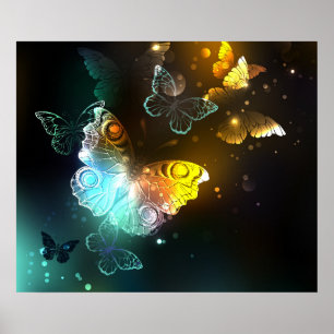 Luminösa fjäril och nattfjärilar poster