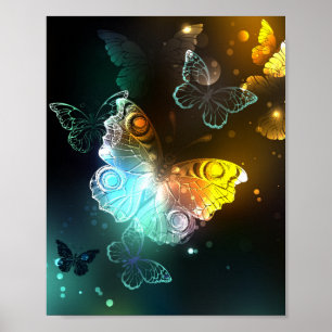 Luminösa fjäril och nattfjärilar poster