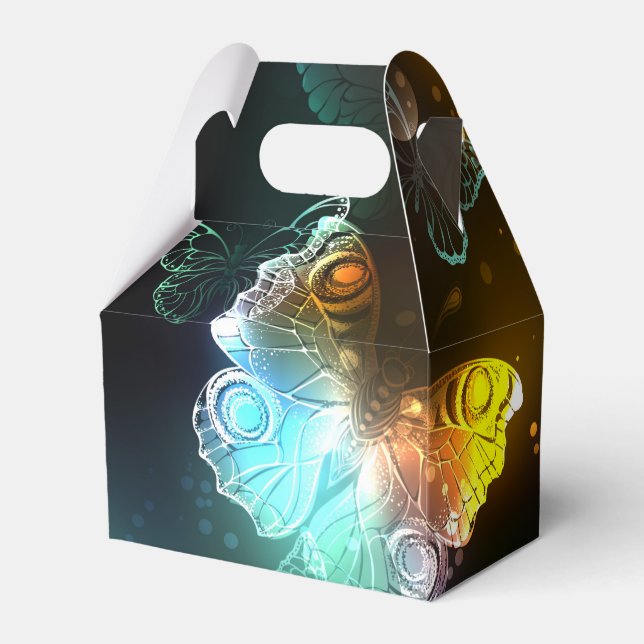 Luminösa fjäril och nattfjärilar presentaskar (Baksidan Sidan)