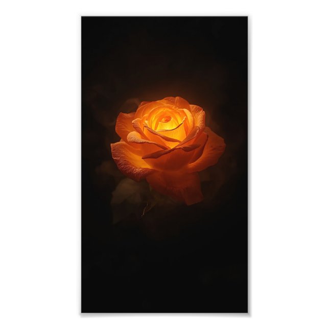 Luminous Orange Rose on Black Velvet – Elegant Flo Fototryck (Framsidan)