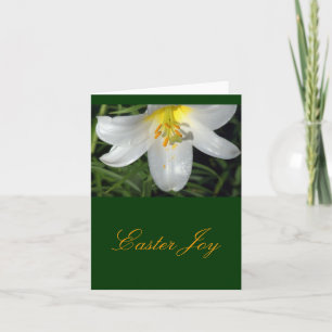 Luminous White Lily /Påsk Joy Helgkort