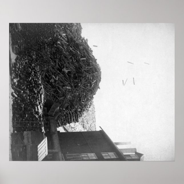 Lumpil utanför De Smet Mill-fotot Poster (Framsidan)