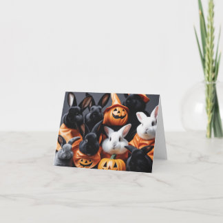 Luna and Friends Tack Kort