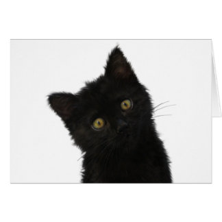 Luna Bella Black Kitten Hälsningskort