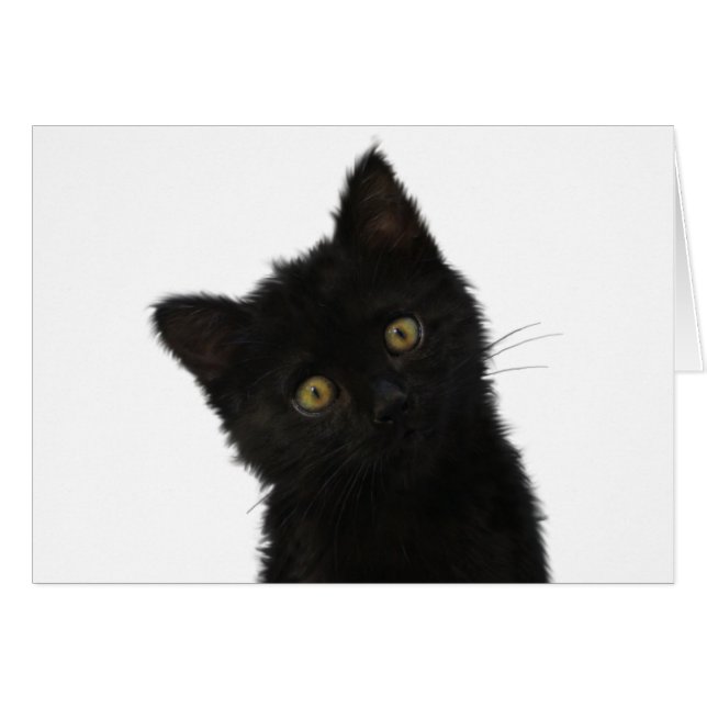 Luna Bella Black Kitten Hälsningskort (Framsidan Horizontal)