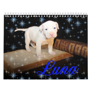 Luna den sparade övergav valphunden kalender
