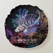 Luna lejon fish, Pterois lunulata