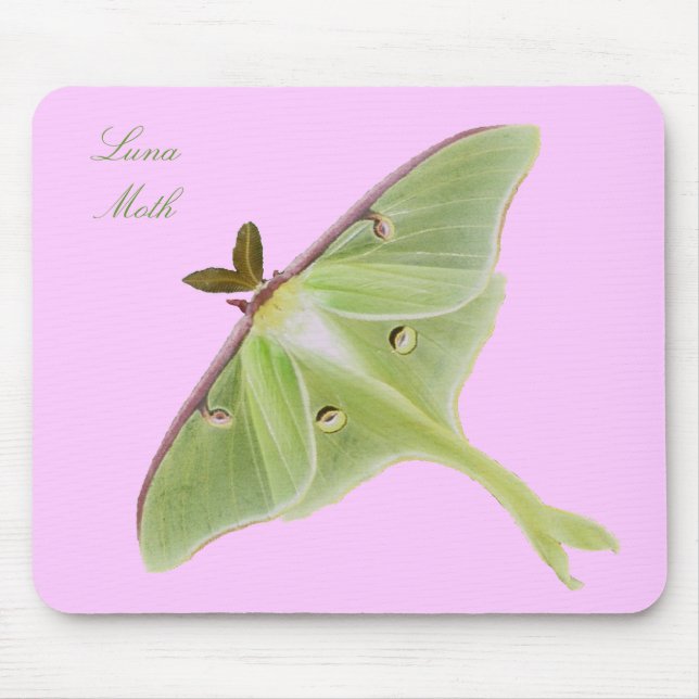 Luna mal Mousepad Musmatta (Framsidan)