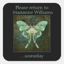 Luna Moth Bok Namn Plate Sticker