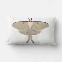 Luna Moth Dekorativ kudde