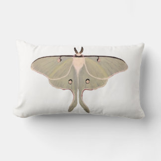 Luna Moth Dekorativ kudde
