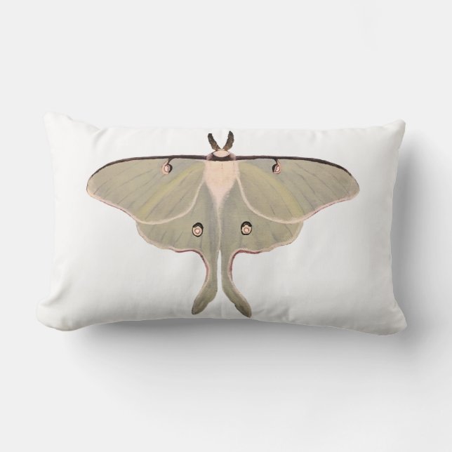Luna Moth Dekorativ kudde (Framsida)