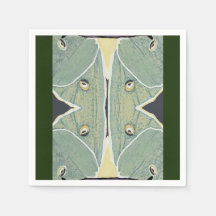 Luna Moth Digital Painting