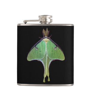Luna Moth Fickplunta