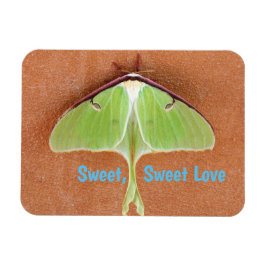 Luna Moth Flexibel Magnet