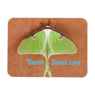 Luna Moth Flexibel Magnet
