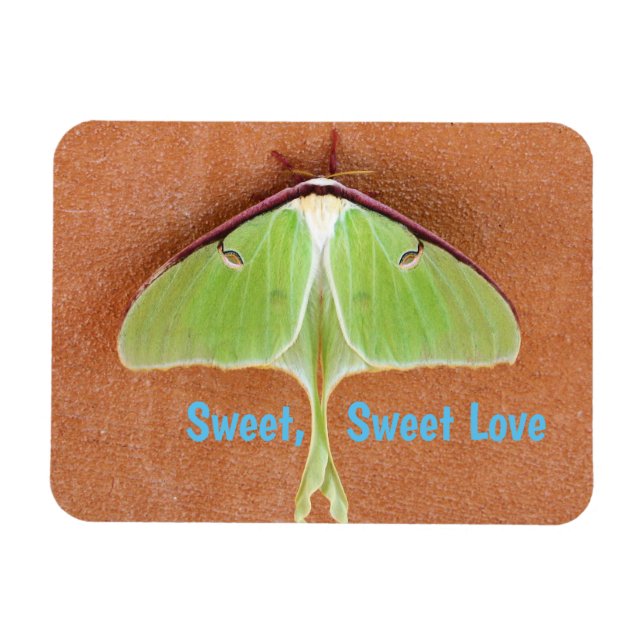 Luna Moth Flexibel Magnet (Horisontell)