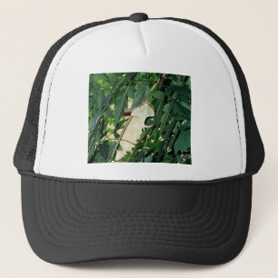 Luna Moth Keps