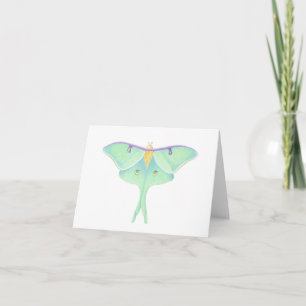 Luna Moth Kort