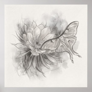 Luna Moth Lotus Blomma Monokrom Skissaffisch Poster