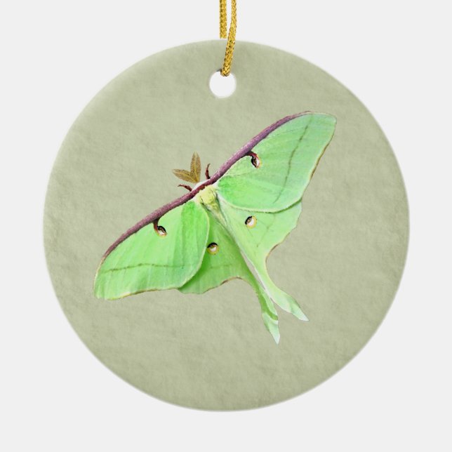 Luna Moth Ornament (Framsidan)