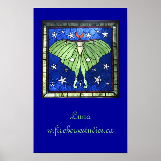 Luna Moth Poster (Framsidan)