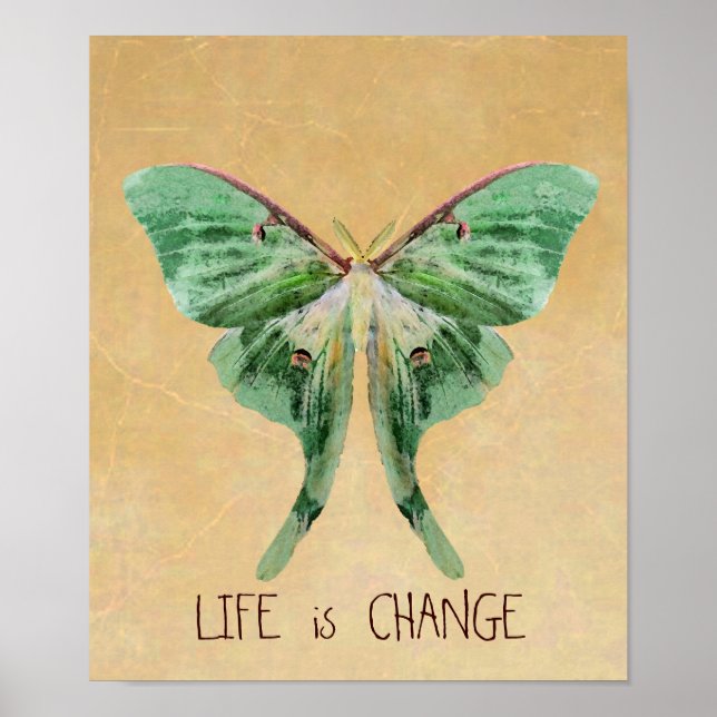 Luna Moth Print Life är ändring Poster (Framsidan)