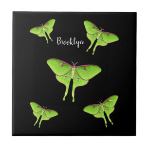 Luna Moth tecknad illustration Kakelplatta