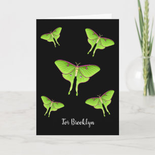 Luna Moth tecknad illustration Kort