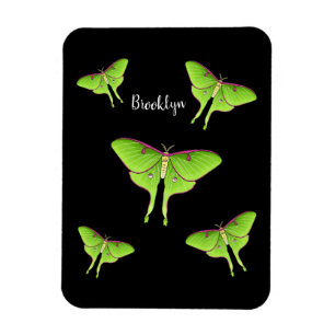 Luna Moth tecknad illustration Magnet