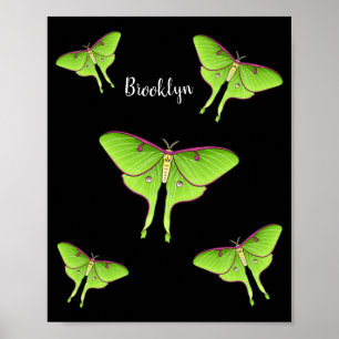 Luna Moth tecknad illustration Poster