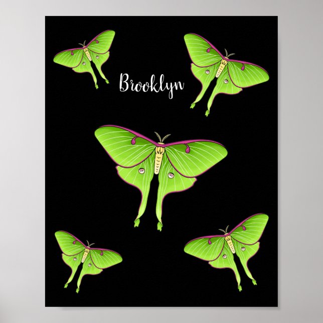 Luna Moth tecknad illustration Poster (Framsidan)