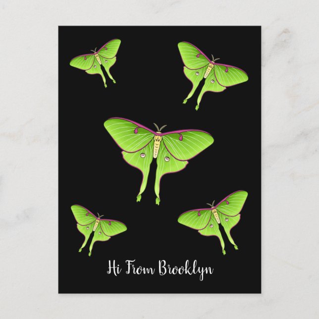 Luna Moth tecknad illustration Vykort (Framsida)