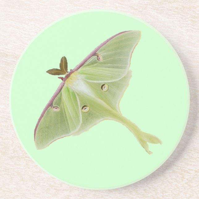 Luna Moth Underlägg Sandsten (Framsidan)