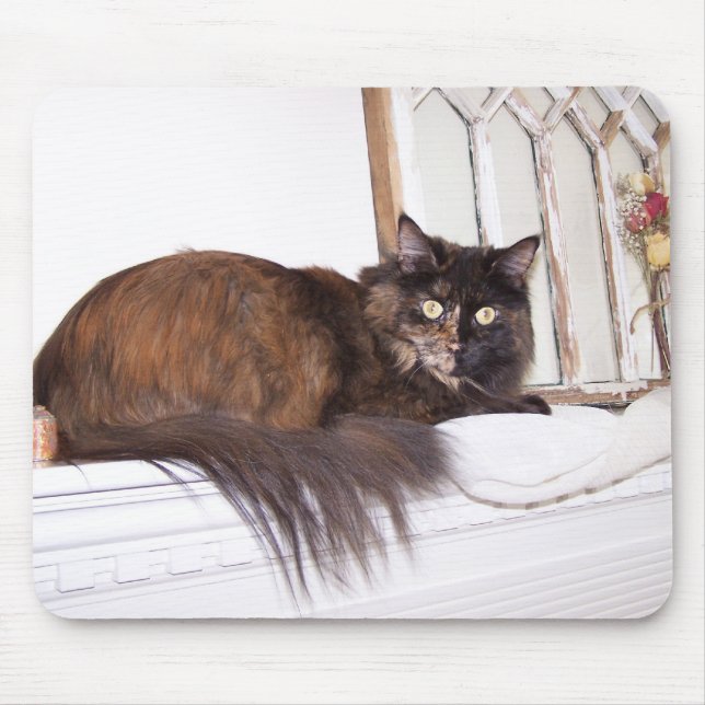 Luna Musmatta (Framsidan)