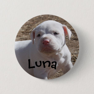 Luna sparad valp knapp