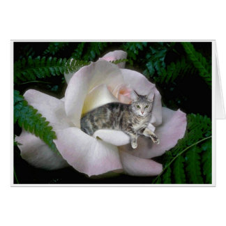 Luna steg hälsningskort