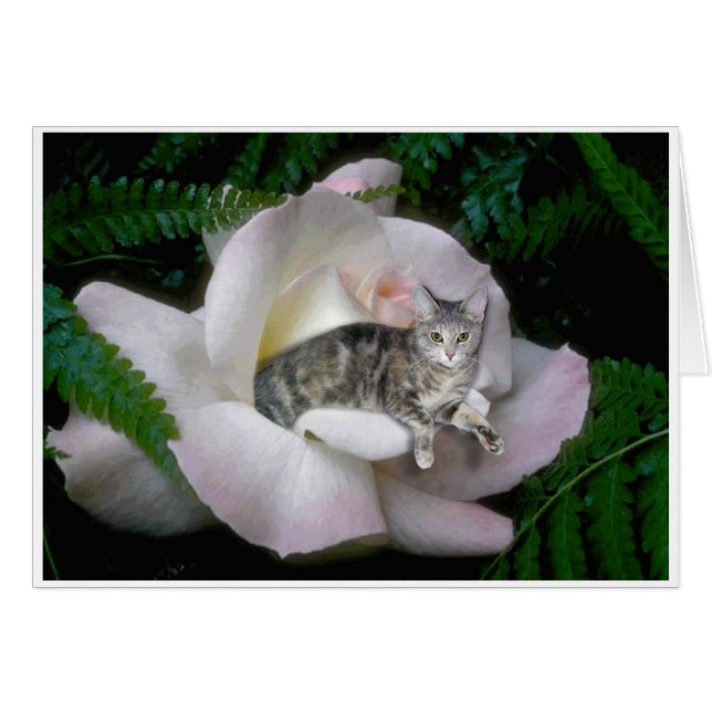 Luna steg hälsningskort (Framsidan Horizontal)