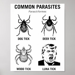 Luna Tick Luna Tick Luna Tick Lunt Trump Common Pa Poster