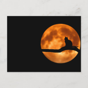 Lunar cat - vykort