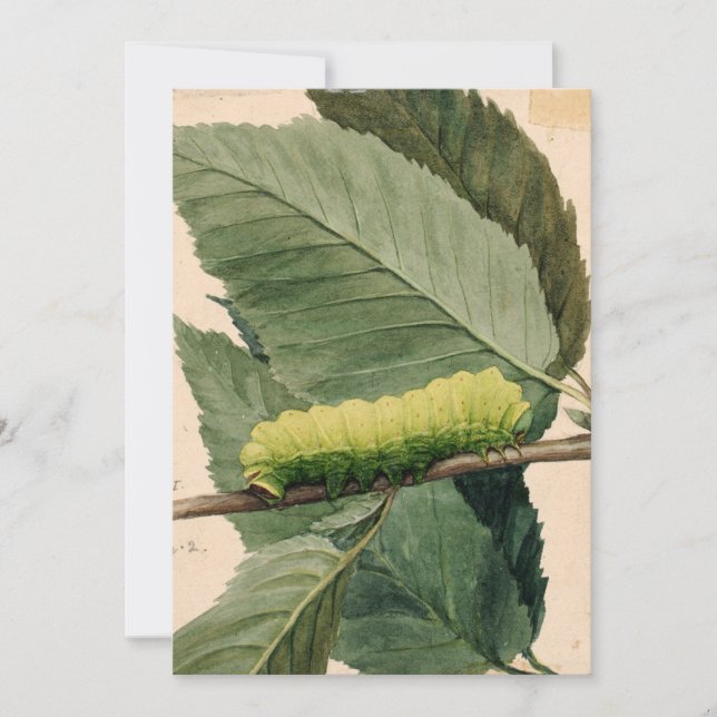 Lunar Caterkvar | Abbott Handerson Thayer (Framsida)