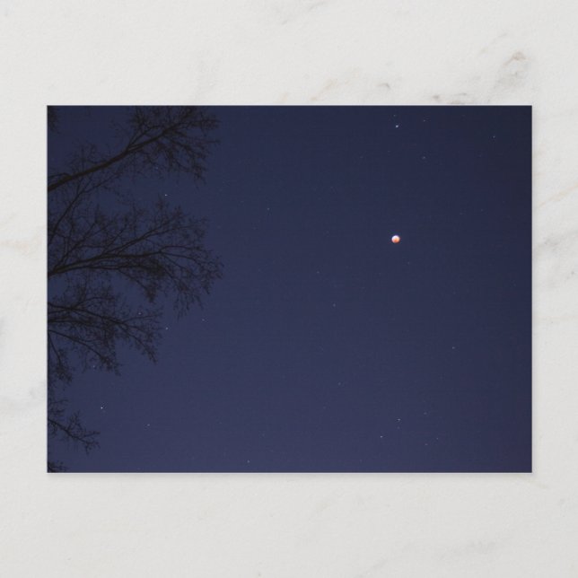 Lunar Eclipse Jan 20-21, 2019, Ohio Vykort (Framsida)