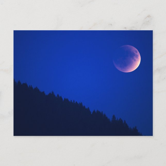 Lunar Eclipse over Forest | Zug, Schweiz Vykort (Framsida)