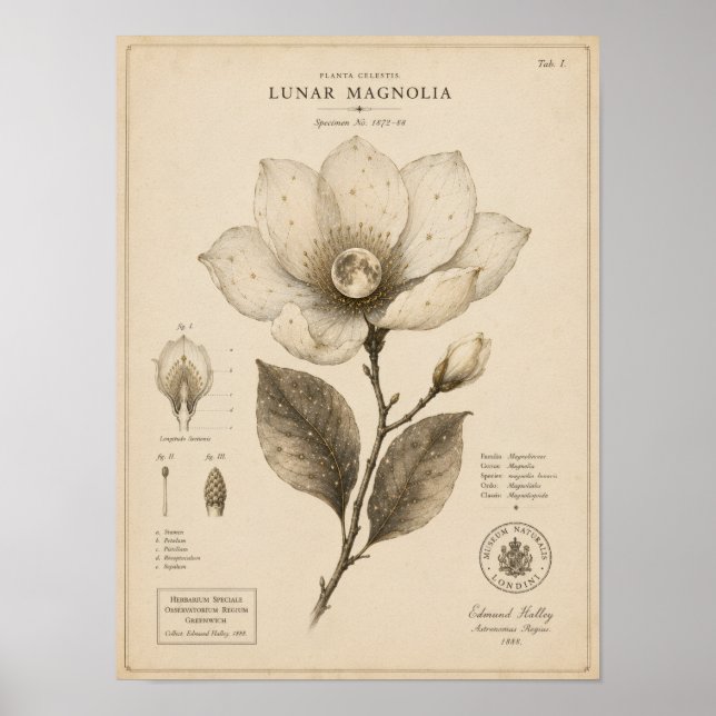 Lunar Magnolia Victorian Botanical Museum Tryck (Framsidan)