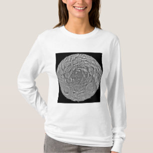 Lunar mosaik av den södra polara regionen av Met Tee Shirt