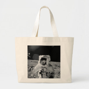 Lunar Soil Sample Jumbo Tygkasse