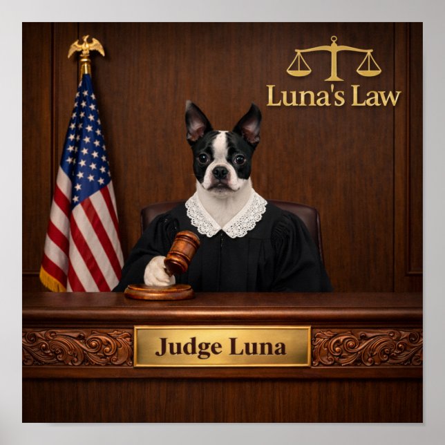 "Lunas lag" Poster (Framsidan)